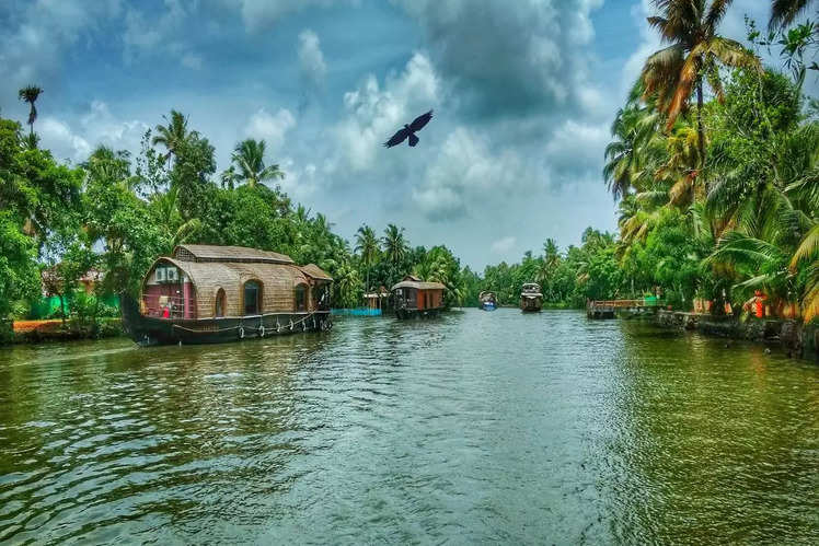 Beautiful experiences to indulge in during Kerala backwater tours | Times of India Travel